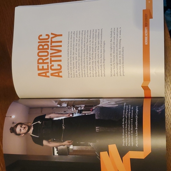 Longberry Press Issue 2 - Spring 2016 - RARE - Picture 2 of 4